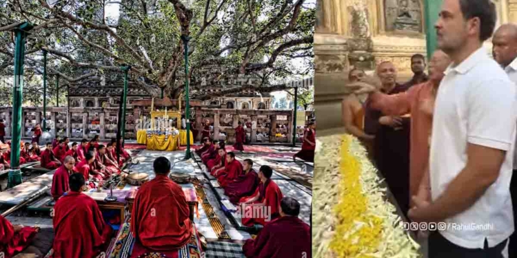 ඉන්දීය විපක්ෂනායක රාහුල් ගාන්ධි ශ්‍රී මහා බෝධිය වැඳ පුදාගනී! VIDEO I Sri Lanka Latest News
