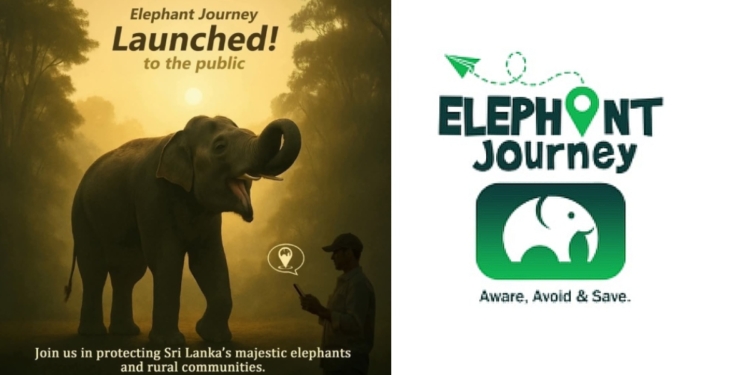 අලි ඉන්න තැන් ගෙදර ඉඳන් දැනගන්න පුළුවන්! ගල්ගමුවේ පොඩි කොල්ලෙක් අලි බේරගන්න ලොකු වැඩක් කරයි! ඇප් එකේ නම Elephant Journey!
