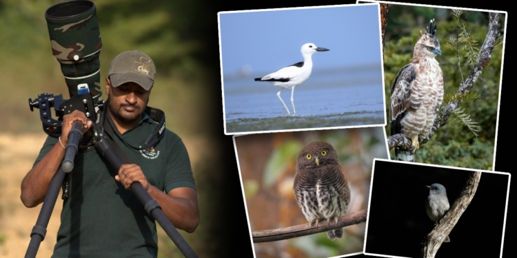 වර්ග 475ක්! සෙනෙහස්ගේ කුරුලු චාරිකාව! Sri Lanka Latest News