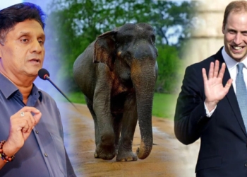 විලියම් කුමරුයි සජිතුයි යාල කැලේ රැයක්! Sri Lanka Latest News