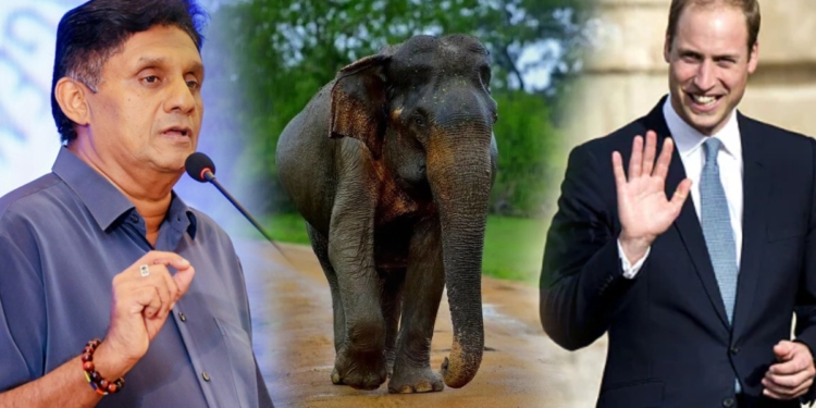 විලියම් කුමරුයි සජිතුයි යාල කැලේ රැයක්! Sri Lanka Latest News