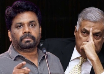 වලව්වේ බංගලි රෝස පඳුරු යටින් මොනරකුඩුම්බිය මල් හිනාවෙනවා! Sri Lanka Latest News