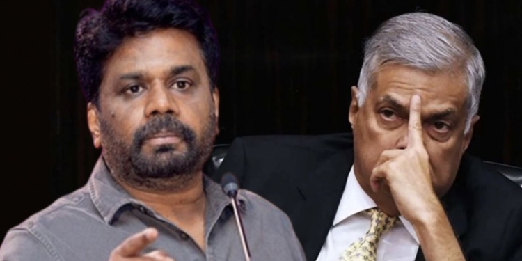 වලව්වේ බංගලි රෝස පඳුරු යටින් මොනරකුඩුම්බිය මල් හිනාවෙනවා! Sri Lanka Latest News