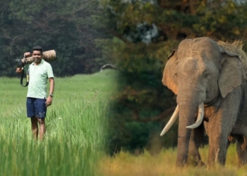 මෙච්චර අලි මැරෙන්නේ ඇයි? Sri Lanka Latest News