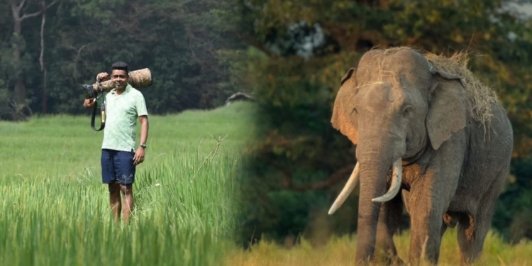 මෙච්චර අලි මැරෙන්නේ ඇයි? Sri Lanka Latest News