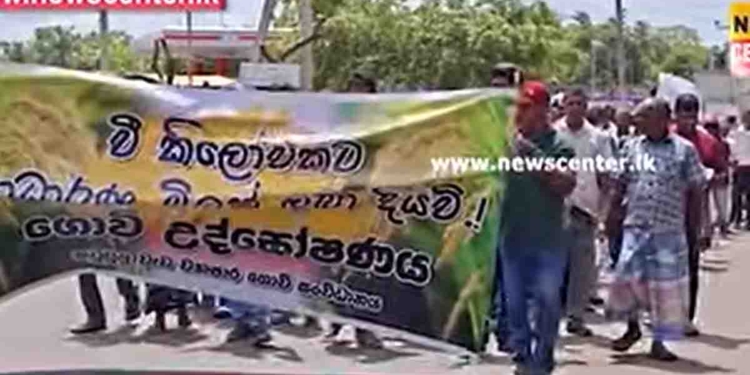 ‘සාධාරණ මිලක් අපිට දියව්.. දියව්..! දුන් පොරොන්දු ඉටු කරපන්..!’ ගොවීන් මැදිරිගිරියෙන් සටන පටන් ගනී! ‘අද ගොවියන්ට වළ කපලා..! අපි කාටවත් බය නෑ!’ ලාල්කාන්තටයි නාමල් කරුණාරත්නටයි හොඳවයින් කියයි! VIDEO I Sri Lanka Latest News