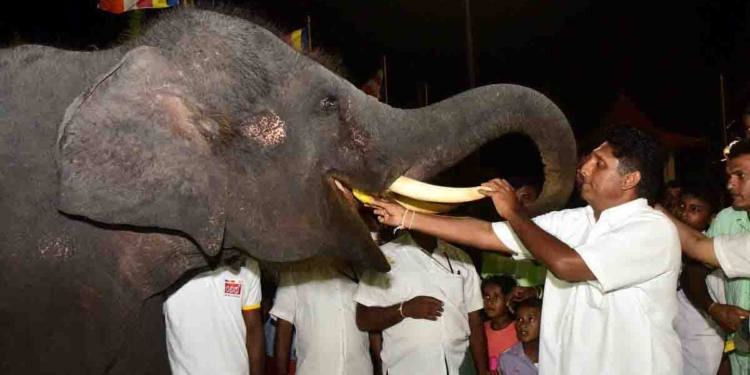 කාටත් අමතක වෙලා තිබ්බ අදට.. රටට වැදගත් දිනයක් සජිත් මතක් කර දෙයි! I Sri Lanka Latest News