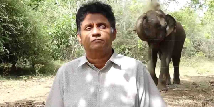 ලෝක අලි දිනයේදී උඩවලවේ අලියෙකුත් පිටිපස්සෙන් තියාගෙන සජිත් අලි ප්‍රශ්නය ගැන කතාකරයි! VIDEO I Sri Lanka Latest News