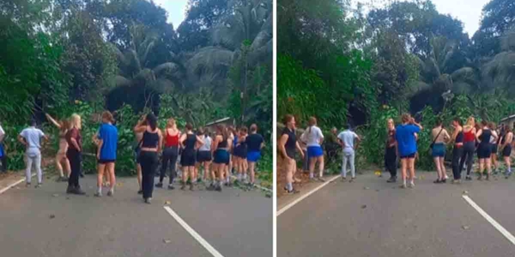 අපේ රටේ එවුන් පාරට ගහක් වැටුණාම නගර සභාව-ප්රාදේශීය සභාව ඇවිත් අරන් දානකම් මරලතෝනි දෙනවා! ලංකාවට ආපු සුද්දෝ ටිකක් පාරෙ ගහක් වැටුණාම මෙන්න මෙහෙම තමයි හැසිරෙන්නේ..! ඇත්තටම දවසේ දැකපු ලස්සනම වීඩියෝ එක! VIDEO I Sri Lanka Latest News