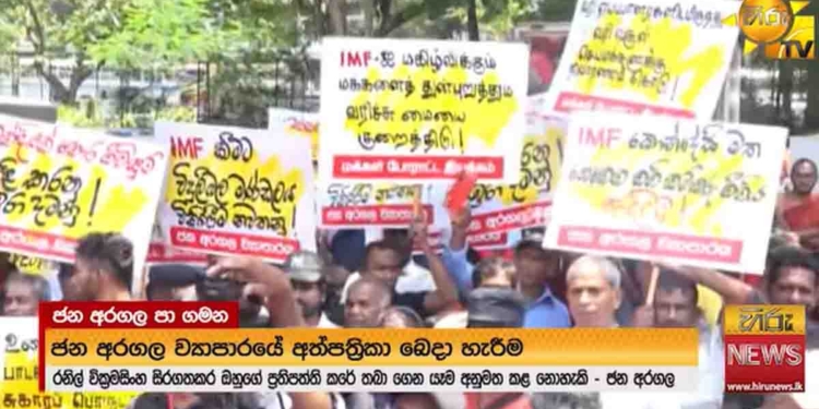 දවසට දෙකට විකිණෙන බොම්බයි මොටයි! VIDEO I Sri Lanka Latest News