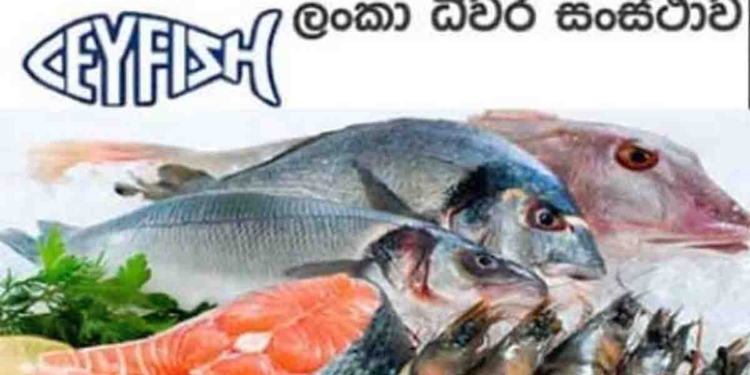 ආණ්ඩුව වහලා දාන්න හදන රාජ්‍ය ආයතන ලයිස්තුවේ ධීවර සංස්ථාවත්? VIDEO I Sri Lanka Latest News