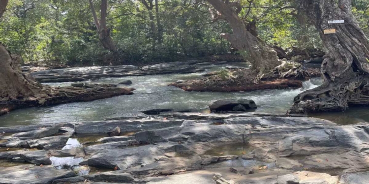 කතරගම දෙවියො මේවා බලාගෙන කොහොමද ඉන්නෙ දෙයියනේ? උන්නාන්සෙටවත් මැණික් ගඟට කරන මේ විනාසය පේන්නෙ නැද්ද? VIDEO I Sri Lanka Latest News