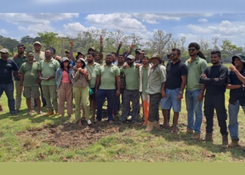 කලාවැව අලින්ට දුන්නාට කැලෑ කොලමේ ආචාරය! Sri Lanka Latest News