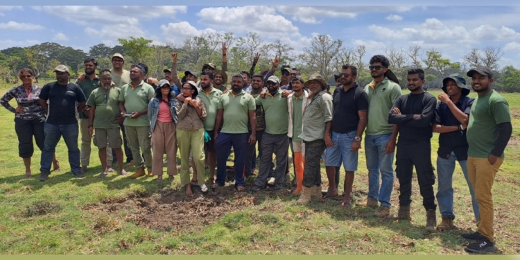 කලාවැව අලින්ට දුන්නාට කැලෑ කොලමේ ආචාරය! Sri Lanka Latest News