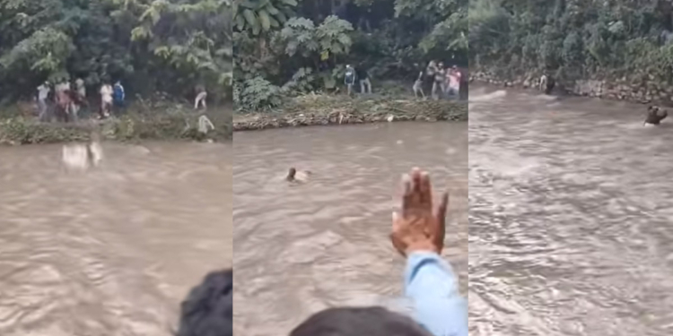 නේපාලේ මේ සීන් එක දැක්කාම නම් ලංකාවේ බේරෙ වැව මතක් වුණා! VIDEO I Sri Lanka Latest News