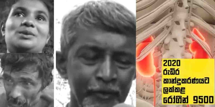 උතුරුමැද පළාතේ වකුගඩු රෝගයෙන් පීඩා විඳින අහිංසක ජනතාව ගැන කියවෙන මේ වීඩියෝව බලන්න! බෙහෙත් නෑ! එන්නත් නෑ! කටු නෑ! මොන නායකයාද දුක් විඳින මේ අහිංසක ජනතාව වෙනුවෙන් ඉදිරිපත් වෙන්නේ? VIDEO I Sri Lanka Latest News