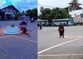 වැලේ වැල් නැතිව එල්ලුණු කිරිඳිවැල! Sri Lanka Latest News