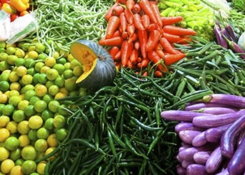 කොරටු විනාශයි! එළවළු නගිනවා! Sri Lanka Latest News