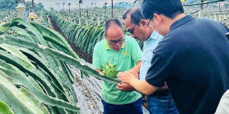 ඇමැතිකමේ වෙනසත් එක්කම චීනෙට ගිය බිමල් ගුවන්ෂි පළාතේ ඩ්‍රැගන්ෆෘට් වගාවක් බලන්නත් ගිහින්! PHOTOS I Sri Lanka Latest News
