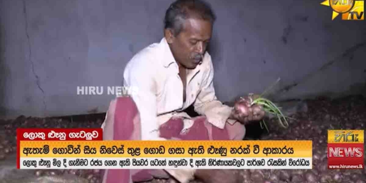ලොකු ලූනු ගන්න ආණ්ඩුව පනවපු කොන්දේසි 17 නිසා ලොකු අවුලක්! කිසිම ආණ්ඩුවක් නොකරපු විදිහට ගෙඩියේ විෂ්කම්භය මිලිමීටර් 35 – 65ක් විය යුතුයි කියලා කොන්දේසියකුත් දාලා! මේක මඤ්ඤමක්! අනුරාධපුර ගොවීන් ඇමැති වසන්තගේ පළු යවයි! ලොකු ලූනු සතොසට නොදෙයි! ගෙවල්වලම ලූනු කුණු වෙන්න ඇරලා! VIDEO I Sri Lanka Latest News