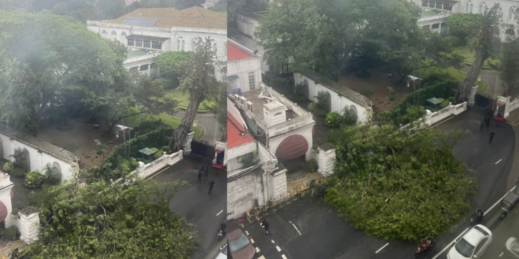 මේ මොකක්ද මේ වෙන්නේ ? කොටුවේ ජනාධිපති මන්දිරය ළඟත් ලොකු ගහක් කඩන් වැටෙයි! Sri Lanka Latest News