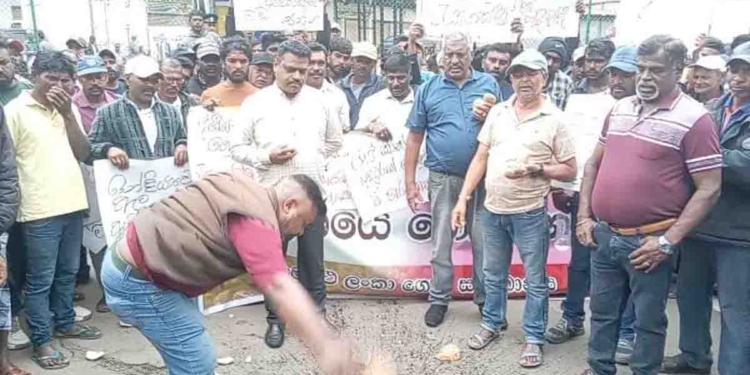 රටින් අල ගෙනාවාට ඇමැතිවරුන්ට එරෙහිව නුවරඑළි ගොවීන් මහපාරේ පොල් ගහයි! ඇමැතිවරුන්ට මේ ලෝකේ දැනුමක් නෑ! උත්තරයක් නොදුන්නොත් ළඟදීම කොළඹ වටලනවා! ආණ්ඩුවට ලොකු අනතුරු ඇඟවීමකුත් කරයි! PHOTOS I Sri Lanka Latest News
