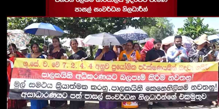 පාරේ පිකට් නොකර විභාග ලියලා එන්න කියපු කතාවට විරෝධය! පාසල් සංවර්ධන නිලධාරීන් ජනාධිපති ලේකම් කාර්යාලය ඉදිරිපිට විරෝධයක! ගුරුවරුන් රැවට්ටුවා! කෝ දෙනවා කියපු තුනෙන් දෙක? සජිත් නම් හැමදාම මේ ප්‍රශ්නය පාර්ලිමේන්තුවේදී කතා කළා! VIDEO I Sri Lanka Latest News