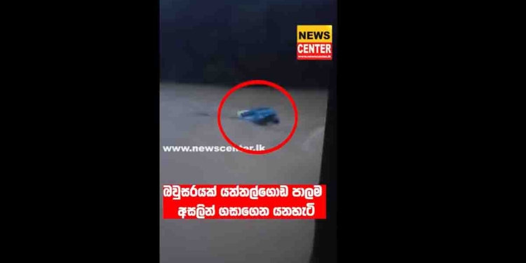 තෙල් බව්සර් වතුරෙ යනවා දැකලා තියෙනවාද? VIDEO I Sri Lanka Latest News