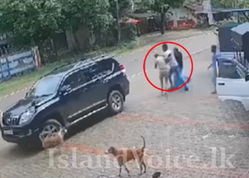 පොලිසියටවත් බය නැති කටුවන චණ්ඩි! වාහනෙන් ආවා..! අහිංසක මනුස්සයකුට තබි බෑවා! පොලිසියත් ආවා..! ප්‍රශ්නයක් නැතිවම ගියා..! VIDEO I Sri Lanka Latest News