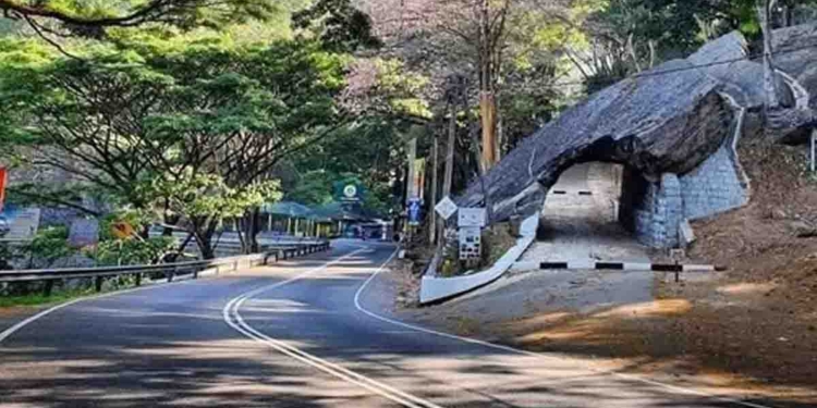 කඩුගන්නාව කියන්නේ අල කොළ එක්ක පොල් රොටී කන අටමගලයක් නෙමෙයි.. රට මැද සහ කොළඹ යාකරන කොඳු ඇට පේළිය! මේ යන විදිහට කඩුගන්නාව ආයෙ නාය ගියොත් මහා විනාශයක්! මුළු රටම එකතැන හිරවෙනවා! දැන්ම ක්‍රියාමාර්ග නොගත්තොත්…?  VIDEO I Sri Lanka Latest News