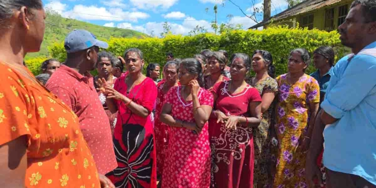 බඹරු ඇනපු තේ දළු නෙලන්නිය ඉස්පිරිතාලෙට අරන් යන්න ගිලන් රථය දීලා නෑ! මේෆීල්ඩ් වතු සේවකයෝ වැඩ නවත්වයි! PHOTOS I Sri Lanka Latest News