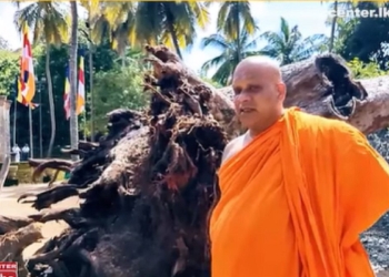 අවුරුදු 2100ක් පැරණි මිහින්තලේ බෝධිරාජයාණන් වහන්සේ මුලින් ඉදිරී බිම වැටුණේ මේ විනාශය කල් තියා දැකලාද? VIDEO I Sri Lanka Latest News