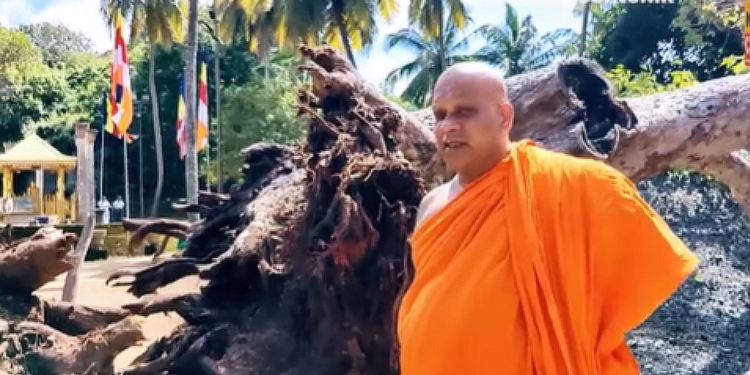 අවුරුදු 2100ක් පැරණි මිහින්තලේ බෝධිරාජයාණන් වහන්සේ මුලින් ඉදිරී බිම වැටුණේ මේ විනාශය කල් තියා දැකලාද? VIDEO I Sri Lanka Latest News