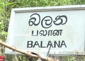 බලන කෝච්චි පාර බලමුද? කවදා යන්න පුළුවන් වෙයිද කියලා හිතමුද? VIDEO I Sri Lanka Latest News