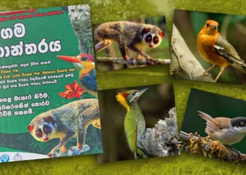 වැසි වනාන්තර බලන්න, සත්තු බලන්න කිලෝමීටර් සීය දෙසීය යන්න ඕනෙ නෑ…! යන්නකො හෝමාගමට! Sri Lanka Latest News