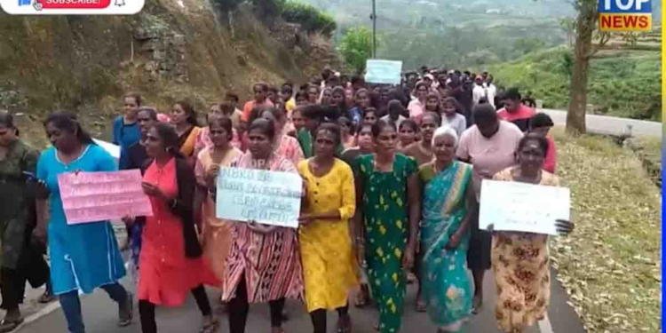මිනිස්සු පාරට බහින්න පටන් ගනී! නායෙන් අවතැන් වුණු වතුකම්කරුවන් ඉඩම් ඉල්ලා බෝඩ් උස්සගෙන මහපාරට ඇවිත්! VIDEO I Sri Lanka Latest News
