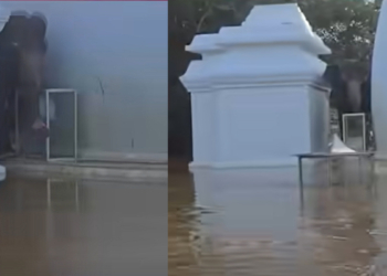 සද්දන්තයාගේ ජීවිතය බේරපු සෝමාවතී මහසෑරදුන් වහන්සේ..! VIDEO I Sri Lanka Latest News