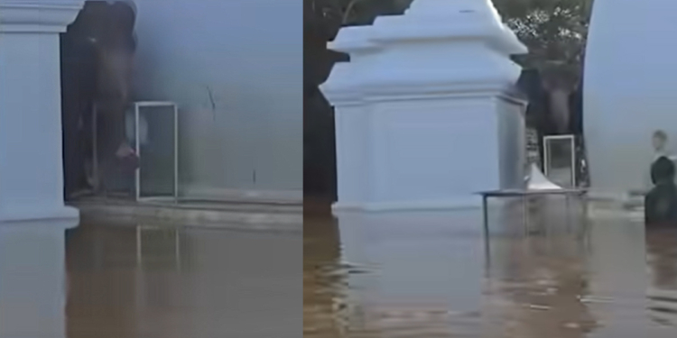 සද්දන්තයාගේ ජීවිතය බේරපු සෝමාවතී මහසෑරදුන් වහන්සේ..! VIDEO I Sri Lanka Latest News