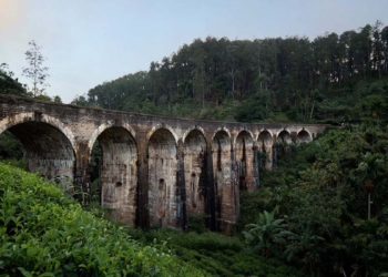 ලංකාව ලෝකෙට අරන් ගිය දොමෝදර ‘නයින් ආච්’ නායයයිද? Sri Lanka Latest News