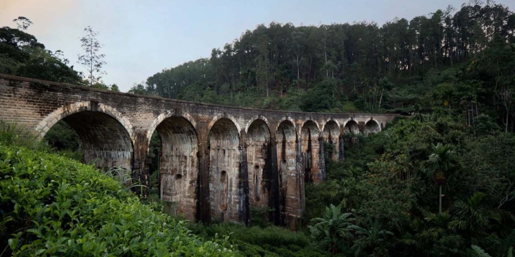 ලංකාව ලෝකෙට අරන් ගිය දොමෝදර ‘නයින් ආච්’ නායයයිද? Sri Lanka Latest News