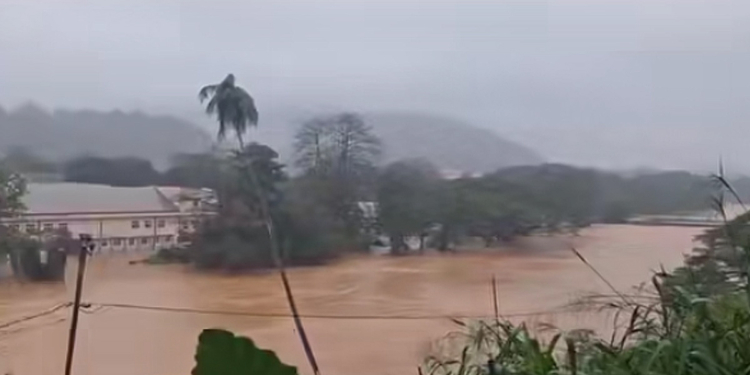 පේරාදෙණිය මහ වැස්සට යටවුණේ මෙහෙමයි! VIDEO I Sri Lanka Latest News