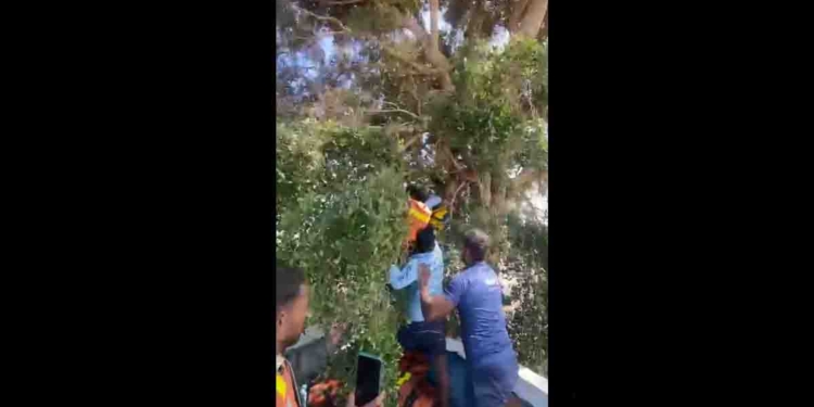 ගස් උඩ ඉන්න මිනිස්සු බේරගන්නත් මෙහෙයුම්! VIDEO I Sri Lanka Latest News