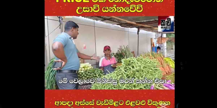 මේක නම් කරන්නම ඕන වැඩක්! මිල ගණන් නොදා හිතුණු හිතුණු මිලට එළවළු විකුණන කළු කඩ වෙළෙන්දන්ව මට්ටු කරන්න මේක කරන්නම ඕන! උසාවි දාන්නම ඕන! නැත්නම් මුන් ටික මේ ආපදාව අස්සෙත් හෙම්බත් වෙලා ඉන්න මිනිස්සුන්ව මරාගෙන කනවා! VIDEO I Sri Lanka Latest News