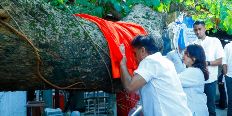 විපක්ෂ නායක සජිත්ගේ උපන්දිනයට ගංගාරාමයේ දානමය පිංකමක්! UNP නායකයොත් සුබපතන්න ඇවිත්..!