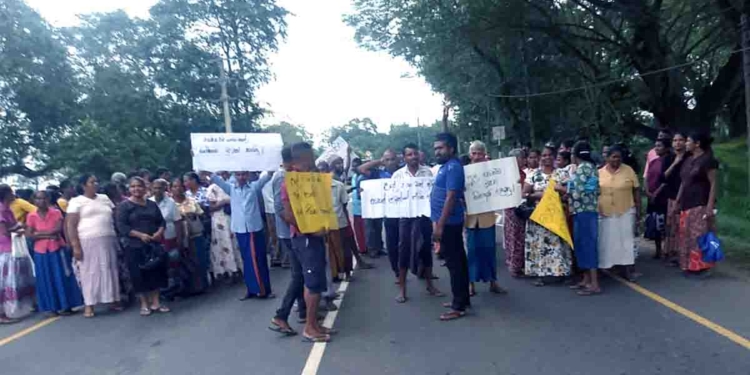 ඉස්සර නම් අලි ප්‍රශ්නෙට පුදුම විසඳුම් දුන්නා! බලයට ආපු ගමන් අලි ප්‍රශ්න විසඳනවා කිව්වා! අද ගිරාඳුරුකෝට්ටේ මිනිස්සු පාරට බැහැලා දෙනවා කියපු විසඳුම් ඉල්ලනවා! PHOTOS I Sri Lanka Latest News