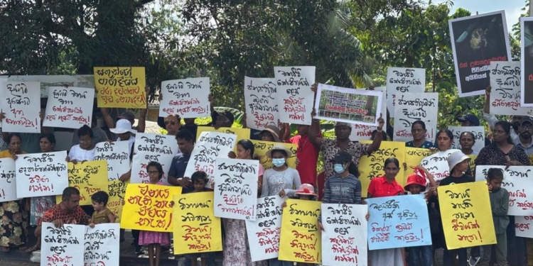 කොළඹින් හොයාගත්ත වටිනා මැණික නැතිවෙයිද? පරිසර ඇමැතිතුමනි මේ ඔබේ අවධානය පිණිසයි! Sri Lanka Latest News