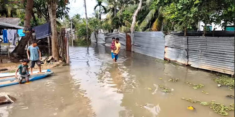 හිතාගන්නවත් බැරි දෙයක්! කුණාටුව ඇවිත් දින 50කුත් ඉවරයි! ඒත් මේ ගමේ ගංවතුර තාම බැහැලා ගිහින් නෑ! අඩි 6ක් විතර උසට තාමත් වතුර තියෙනවා! බලන්න මේ මිනිස්සු කොච්චර නම් දුකක් විඳිනවද කියලා! VIDEO I Sri Lanka Latest News