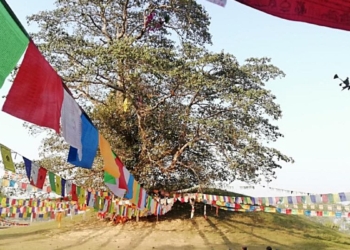 අනෙක් 7ම විවෘත කළා!කවදාවත් විවෘත නොකළ බුදුන් වහන්සේගේ සර්වඥ ධාතු නිධන් කළ එකම ස්තූපය! Sri Lanka Latest News
