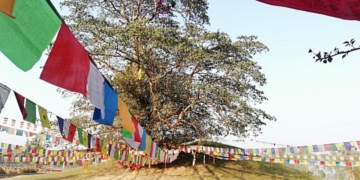 අනෙක් 7ම විවෘත කළා!කවදාවත් විවෘත නොකළ බුදුන් වහන්සේගේ සර්වඥ ධාතු නිධන් කළ එකම ස්තූපය! Sri Lanka Latest News
