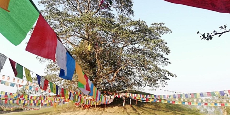 අනෙක් 7ම විවෘත කළා!කවදාවත් විවෘත නොකළ බුදුන් වහන්සේගේ සර්වඥ ධාතු නිධන් කළ එකම ස්තූපය! Sri Lanka Latest News